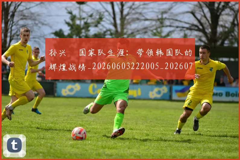 孙兴慜国家队生涯：带领韩国队的辉煌战绩_20260603222005_20260703233243