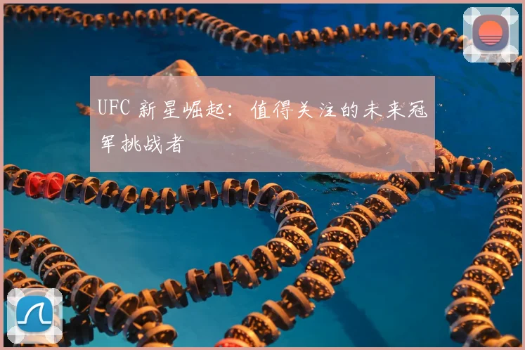 UFC 新星崛起:值得关注的未来冠军挑战者